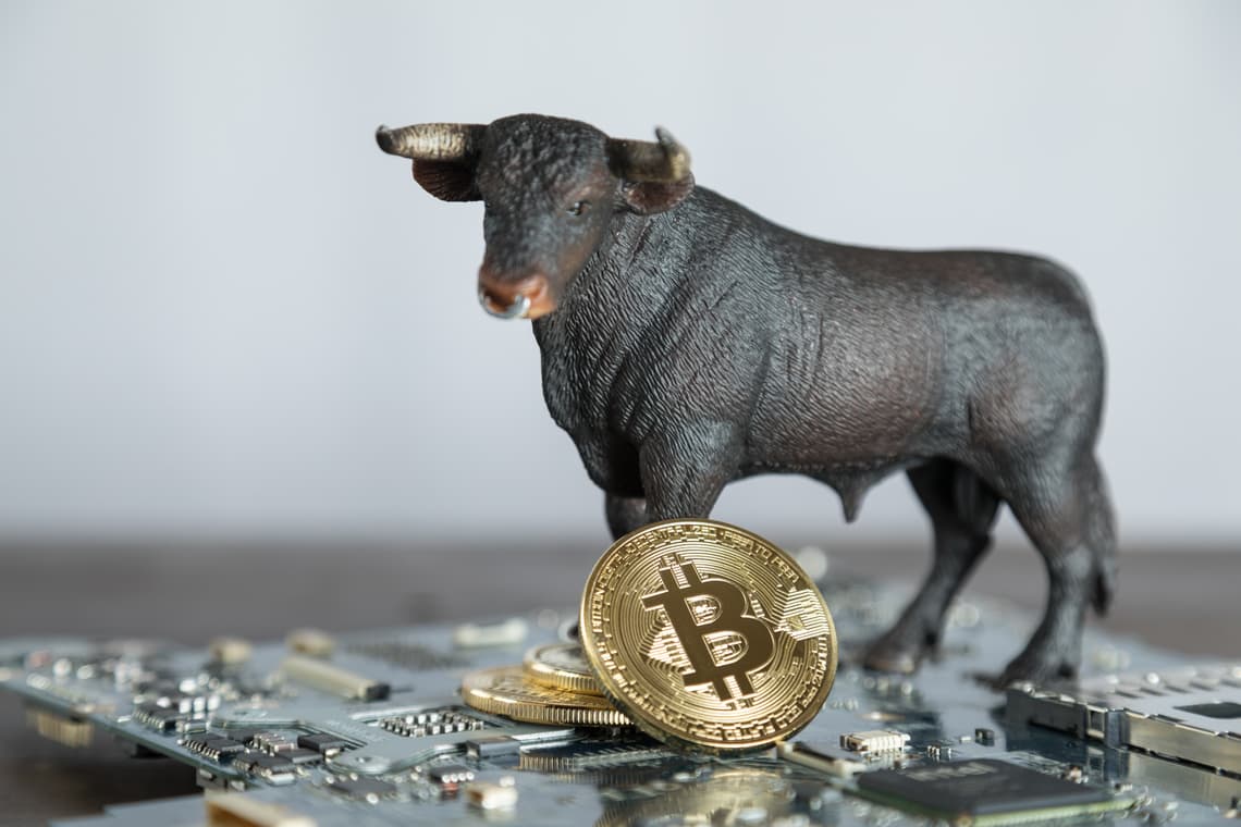 Institutions More Bullish on Cryptocurrency Than Twitter