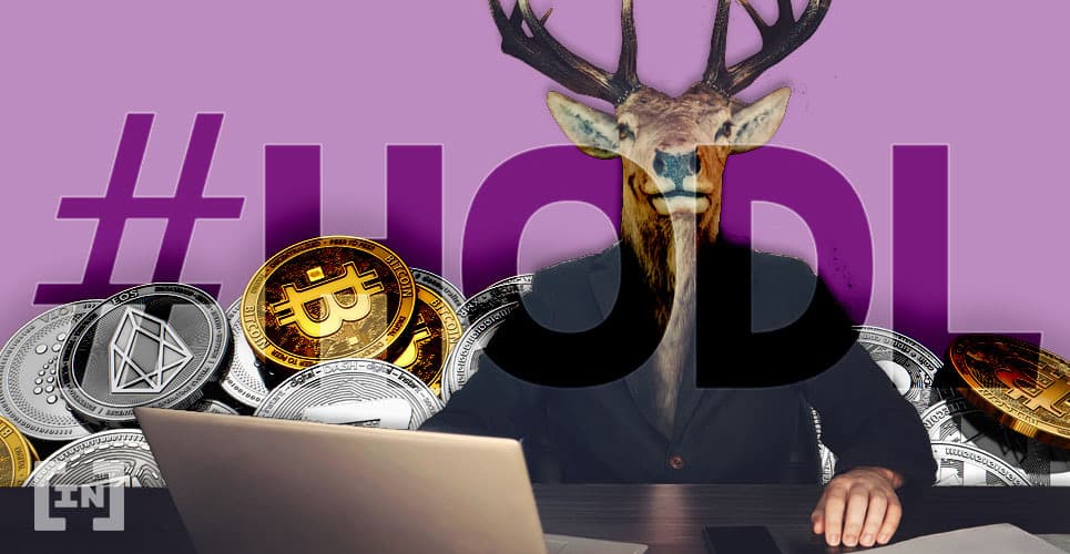 Higher Lows Suggest Cryptocurrency Hodlers Increase Year-on-Year