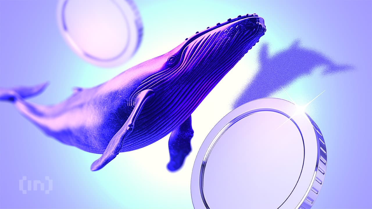 What Is FalconX? Everything You Need To Know