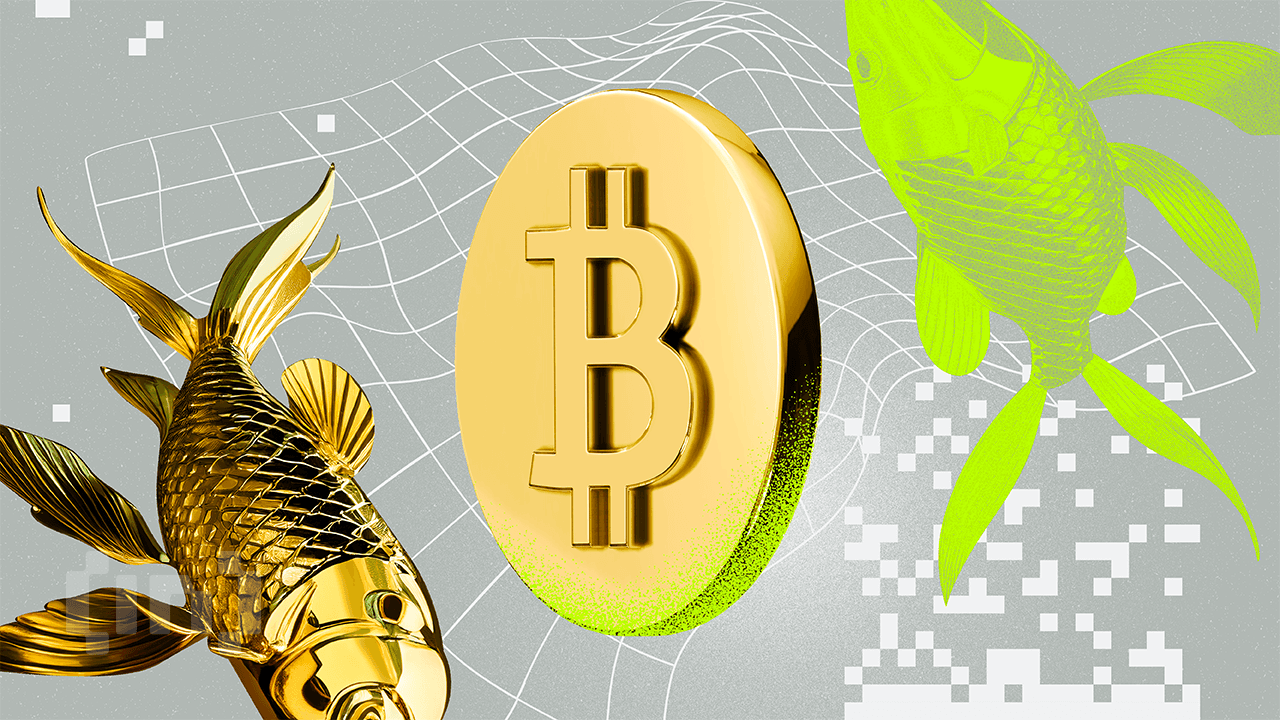 Bitcoin vs. Gold: Which Is the Best Investment In 2025?