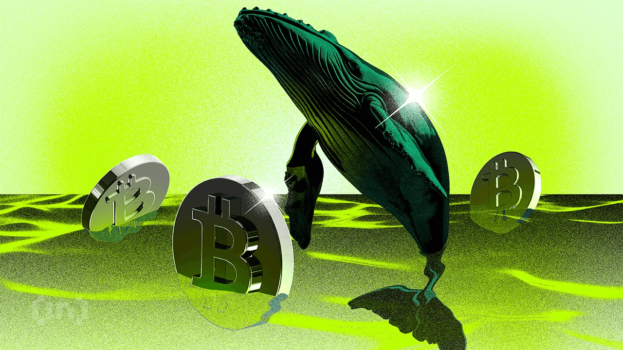 Bitcoin Whales Are Potentially Driving an Altcoin Season | Weekly Whale Watch