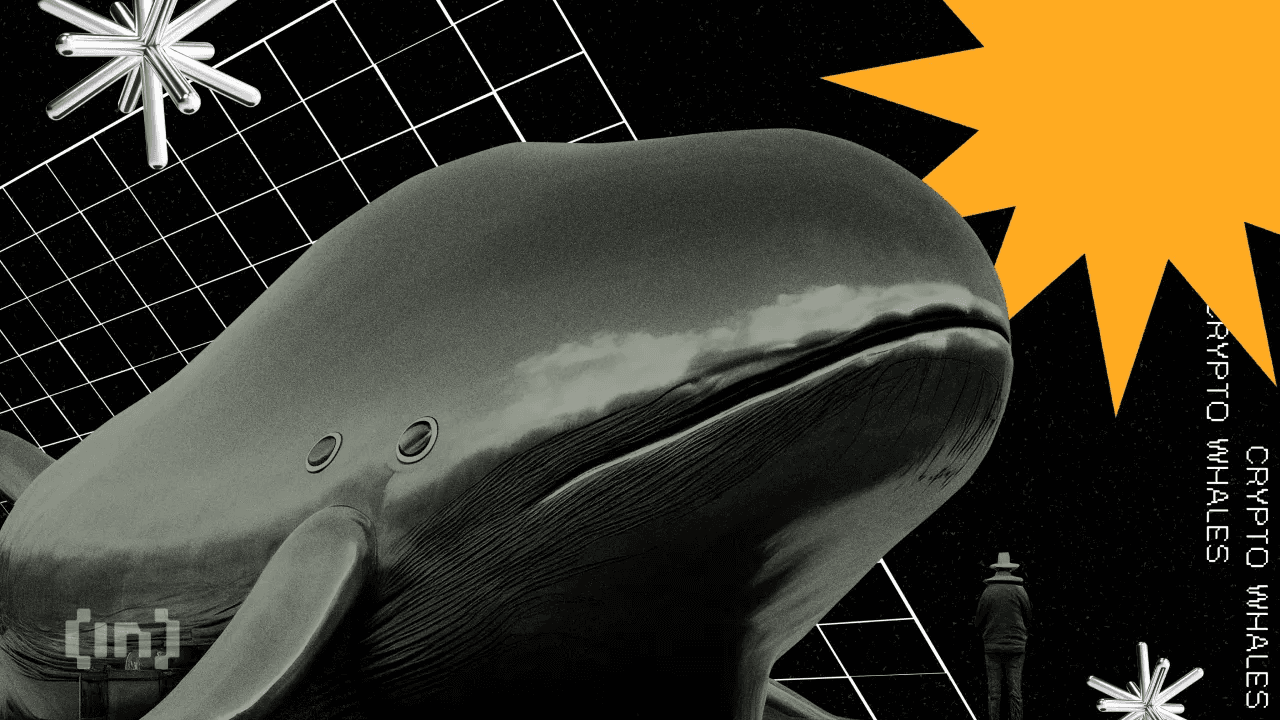 Ethereum Whales Remain Divided – What Lies Ahead for ETH Investors?
