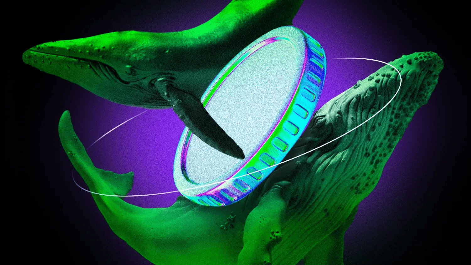 What Crypto Whales Are Buying for Potential Gains in August